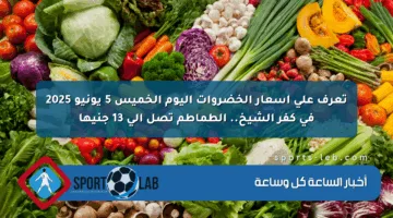 تعرف على أسعار الخضروات اليوم الخميس 5 يونيو 2025 في كفر الشيخ.. الطماطم تصل إلى 13 جنيها